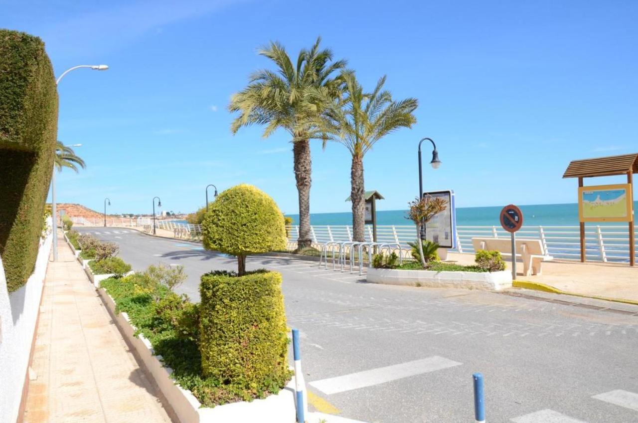 Playamarina II Rooftop Apartment Οριουέλα Εξωτερικό φωτογραφία